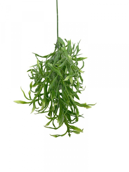Wodorosty gałązka 34 cm jasno zielone