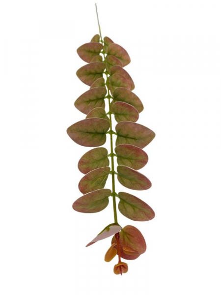 Eukaliptus gałązka 54 cm zielono czerwona