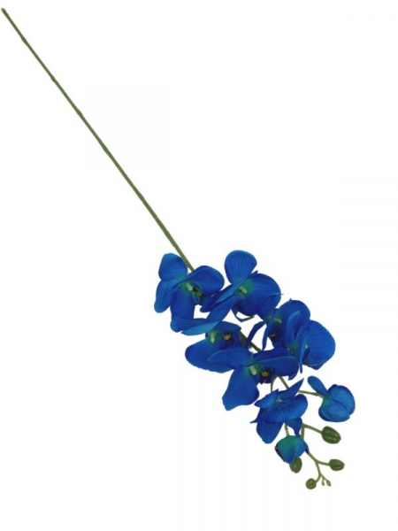 Storczyk kwiat pojedynczy 100 cm niebieski