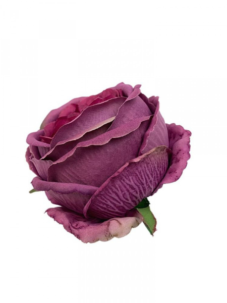 Róża główka 11 cm fuksja z fioletem