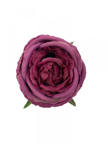 Róża główka 11 cm fuksja z fioletem
