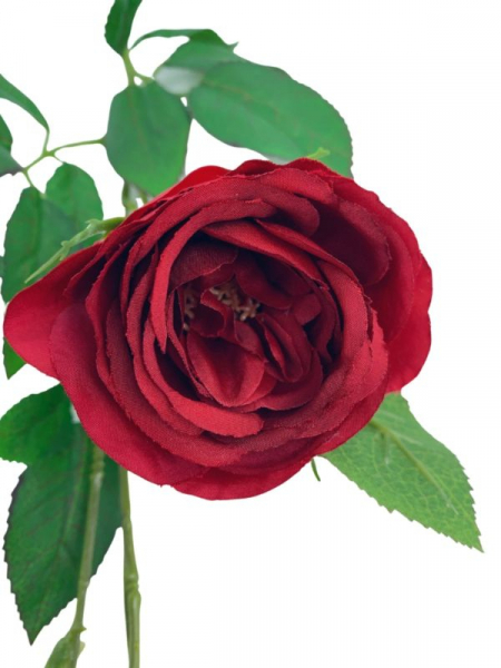 Róża gałązka 70 cm czerwona