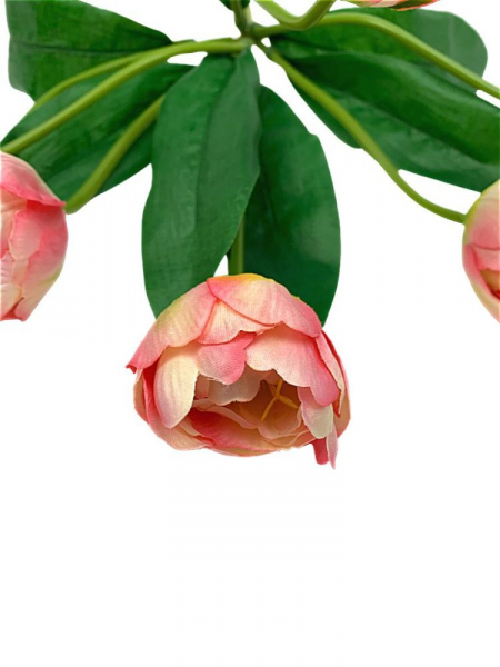 Tulipany bukiet 41 cm różowe z kremem
