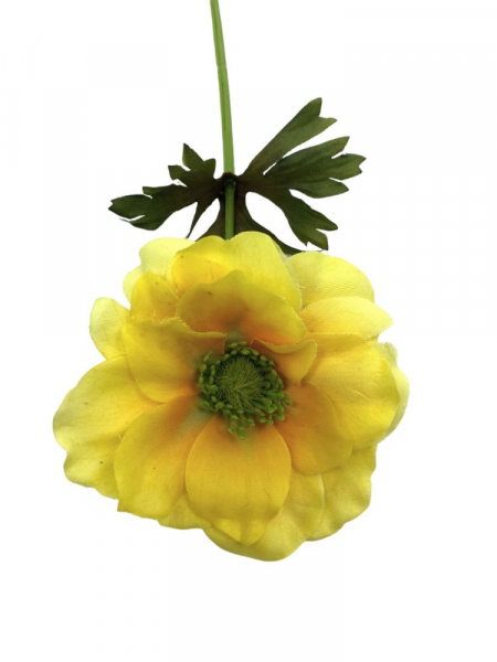 Anemon kwiat pojedynczy 36 cm żółty