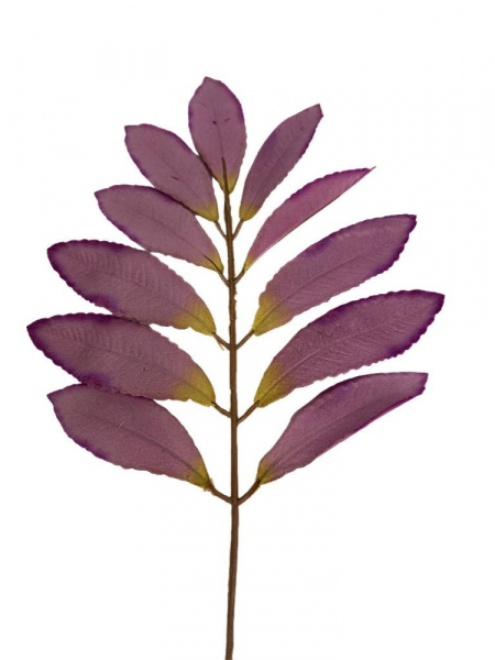 Liść laurowy gałązka 46 cm fiolet