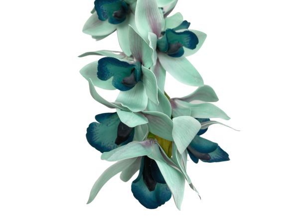 Storczyk cymbidium kwiat pojedynczy 82 cm niebieski
