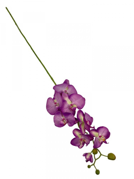 Storczyk kwiat pojedynczy 98 cm fioletowy