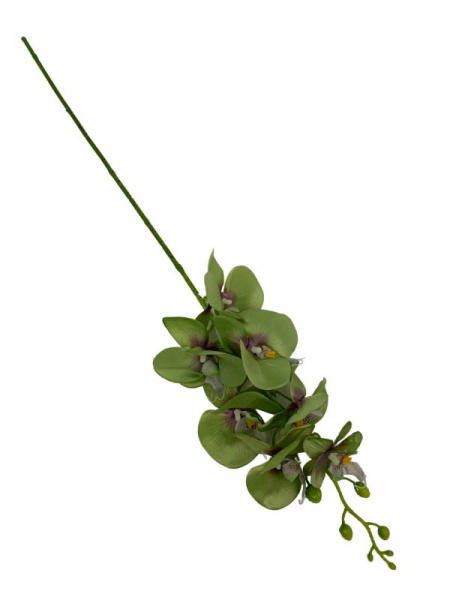 Storczyk gałązka 85 cm zielony