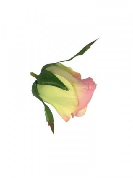 Róża główka 5 cm jasny róż jasna zieleń