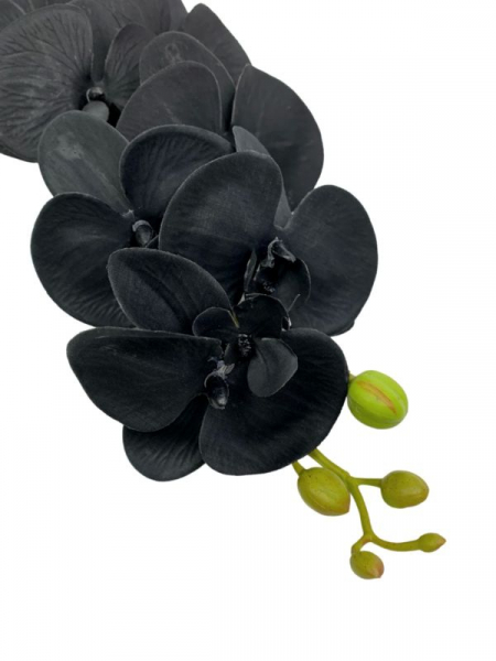 Storczyk kwiat pojedynczy 90 cm czarny