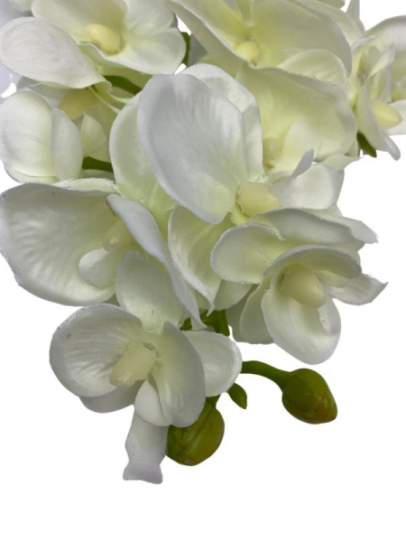 Storczyk kwiat pojedynczy 56 cm biały
