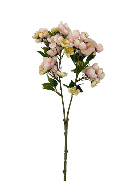 Jabłoń gałązka kwitnąca 58 cm jasny róż