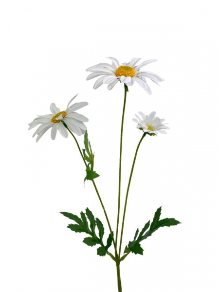 Margaretka kwiat pojedynczy 58 cm biała