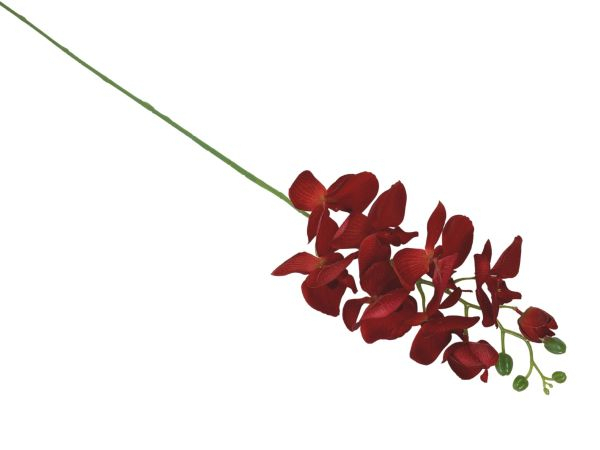 Storczyk kwiat pojedynczy 100 cm czerwony