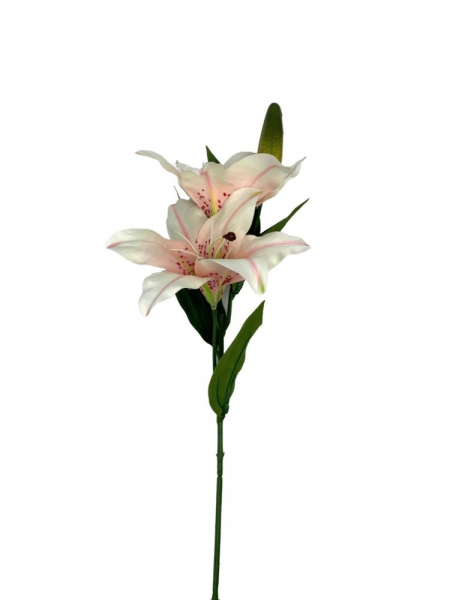Lilia kwiat na gałązce 65 cm kremowa z jasnym różem