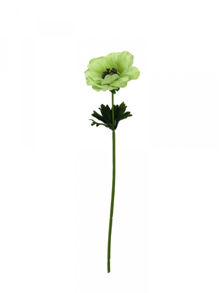 Anemon kwiat pojedynczy 36 cm zielony
