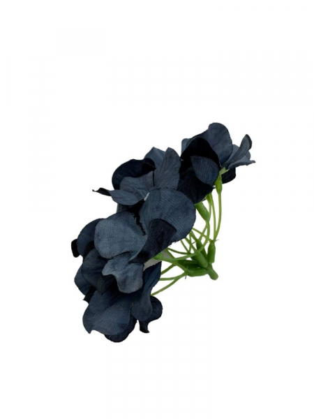 Hortensja główka 13 cm ciemno niebieska z czarnym