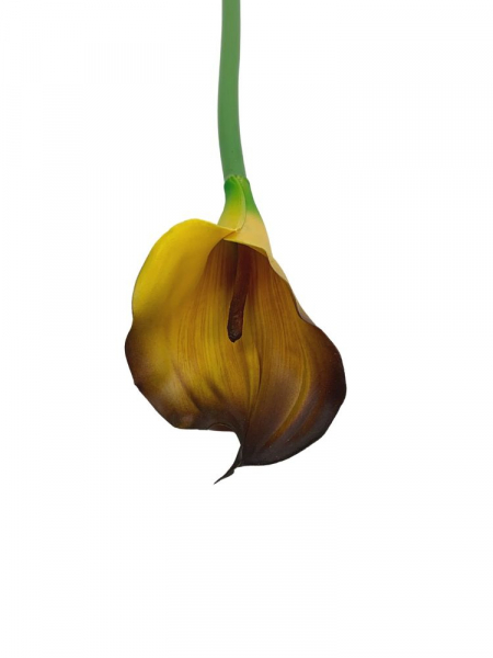 Kalia kwiat pojedynczy 71 cm brązowo żółta