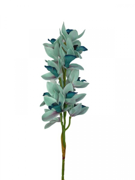 Storczyk cymbidium kwiat pojedynczy 82 cm niebieski