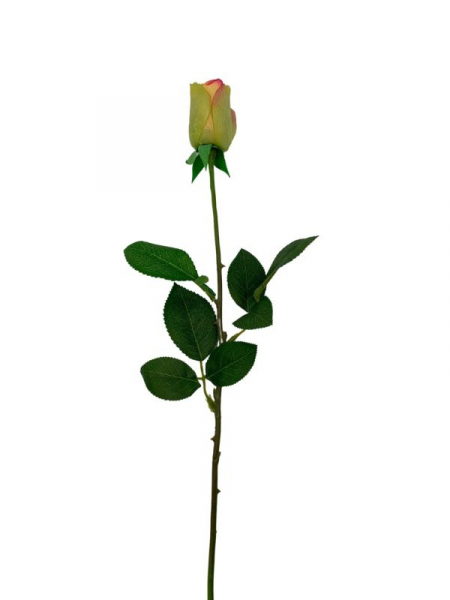 Róża kwiat pojedynczy 67 cm zielona