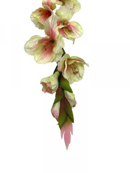 Mieczyk gałązka 85 cm jasno zielony z jasno różowym cieniowaniem