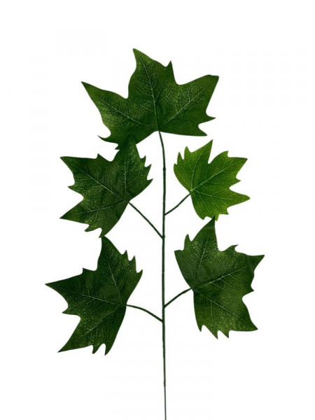 Klon liście gałązka 54 cm zielony