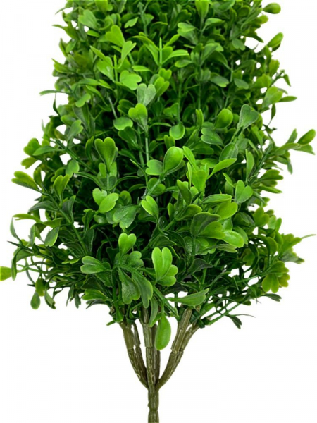 Bukszpan drzewko bukszpanowe 63 cm zielony