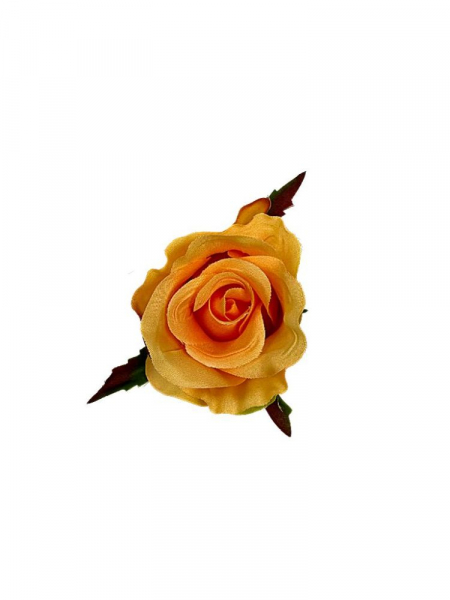 Róża główka 5 cm herbaciana