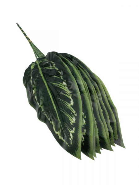 Liść manuel - difenbachia 45 cm zielony
