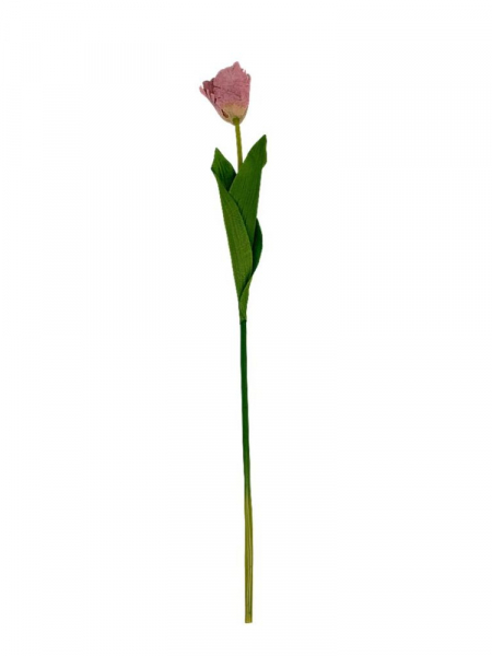 Tulipan gałązka 54 cm brudny róż