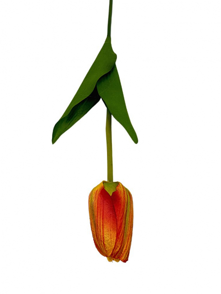 Tulipan gałązka 54 cm żółto czerwony