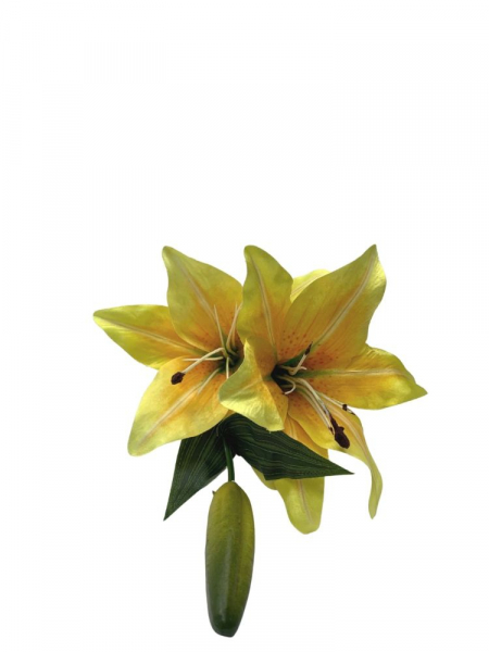 Lilia kwiat na gałązce 65 cm żółta