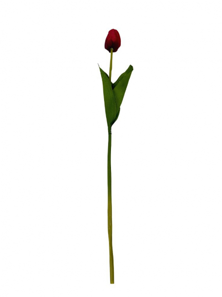 Tulipan gałązka 54 cm czerwony