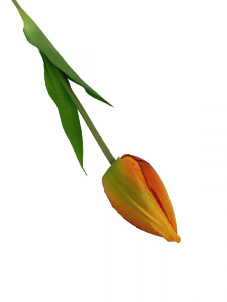 Tulipan kwiat pojedynczy 50 cm pomarańczowy