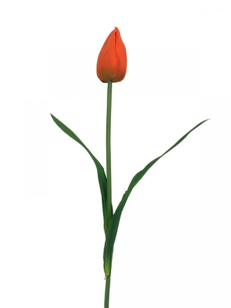 Tulipan kwiat pojedynczy 55 cm pomarańczowy