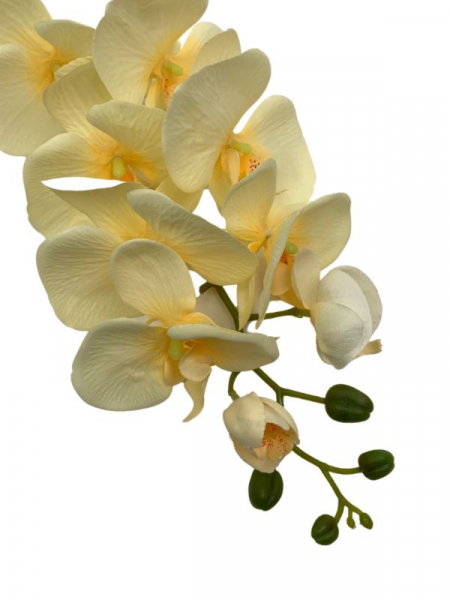 Storczyk kwiat pojedynczy 100 cm żółty