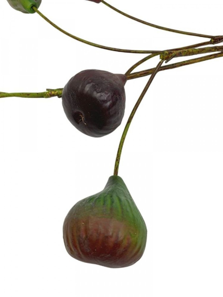 Figa gałązka z owocami 80 cm