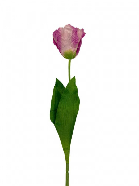 Tulipan rozwinięty 60 cm różowy