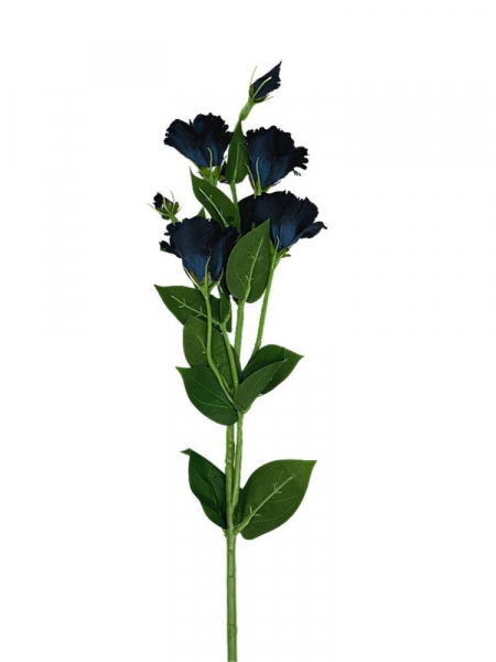 Eustoma gałązka 80 cm czarno niebieska