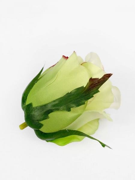 Róża główka 5 cm jasno zielona z różowymi brzegami