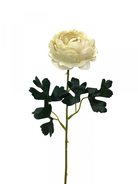Pełnik kwiat pojedynczy 54 cm antyczny krem