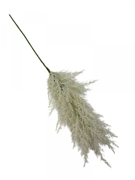 Trawa pampasowa gałązka 70 cm biała