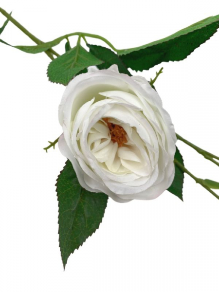 Róża gałązka 70 cm biała