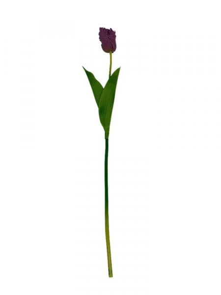 Tulipan gałązka 54 cm fioletowy