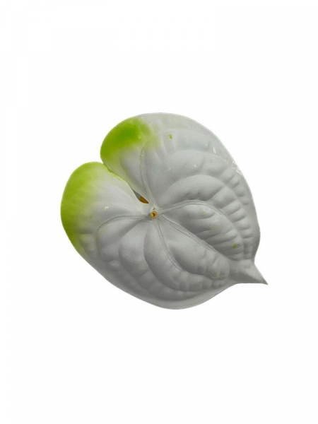Anturium główka 16 cm biało zielone