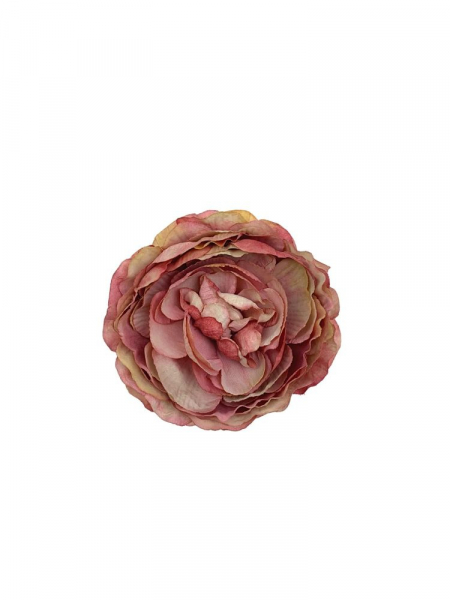 Pełnik główka 9 cm romantyczny róż