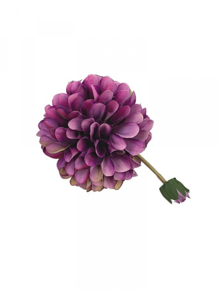 Dalia kwiat pojedynczy 70 cm fioletowa