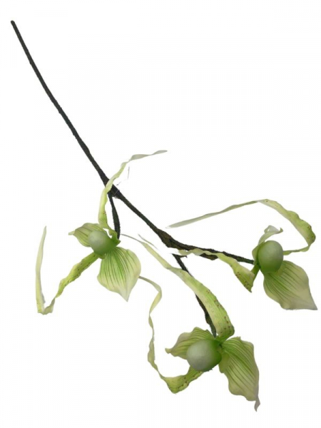 Orchidea kwiat pojedynczy 76 cm jasno zielona