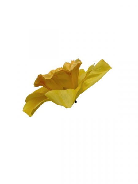 Żonkil główka 10 cm żółty