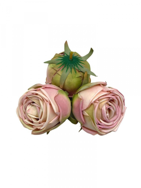 Róża główka 7 cm rożowo kremowa z akcentami zieleni